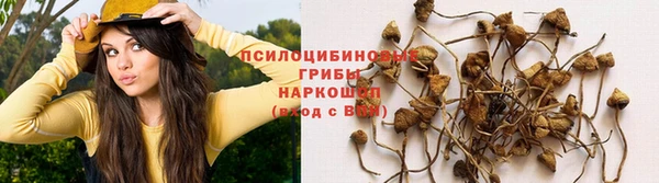 синтетический гашиш Абаза