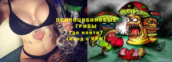 крисы Алексин