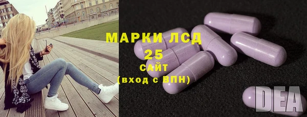 крисы Алексин