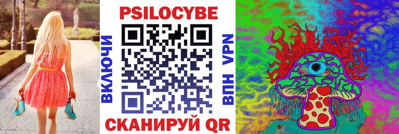 дарнет шоп  blacksprut вход  Галлюциногенные грибы ЛСД  Новоалександровск 